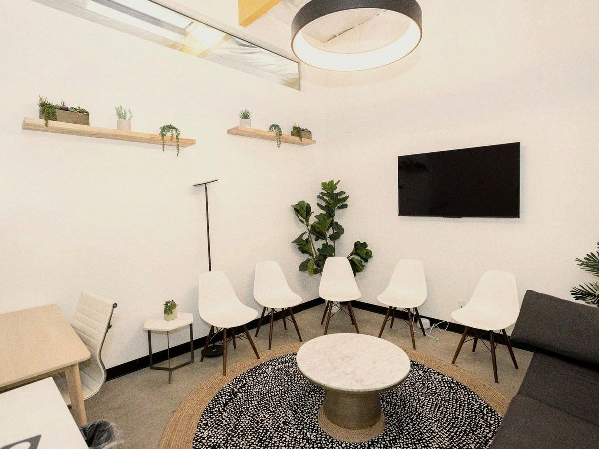 A bright room with white walls, shelves of small plants, a fiddle leaf fig and a circle of white chairs around a round table, with no people.